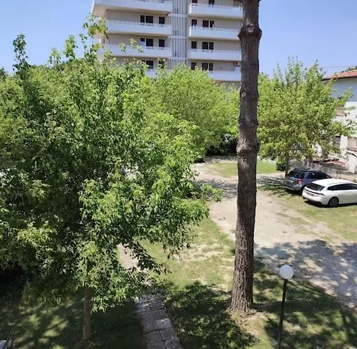 Un Tuffo Nel Blu * Lido Di Savio